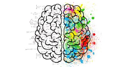 70/30 Brain Process in Language Learning