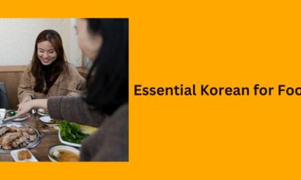 Korean Dining Vocabulary for Beginners: Essential Phrases & Tips