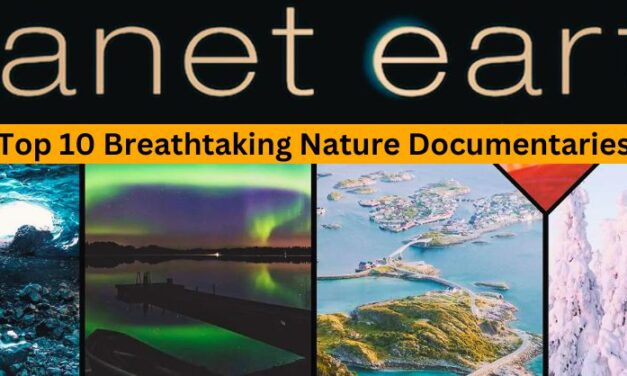 Top 10 Breathtaking Nature Documentaries You Must Watch