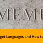 Why We Forget Languages and How to Remember: A Complete Guide