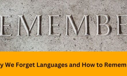 Why We Forget Languages and How to Remember: A Complete Guide